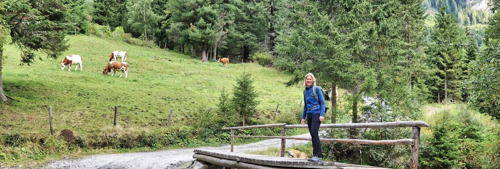 Hiking route Wildalm and 3-summit tour in the Wölzer Tauern - Touren-Impression #1 | © Weges OG