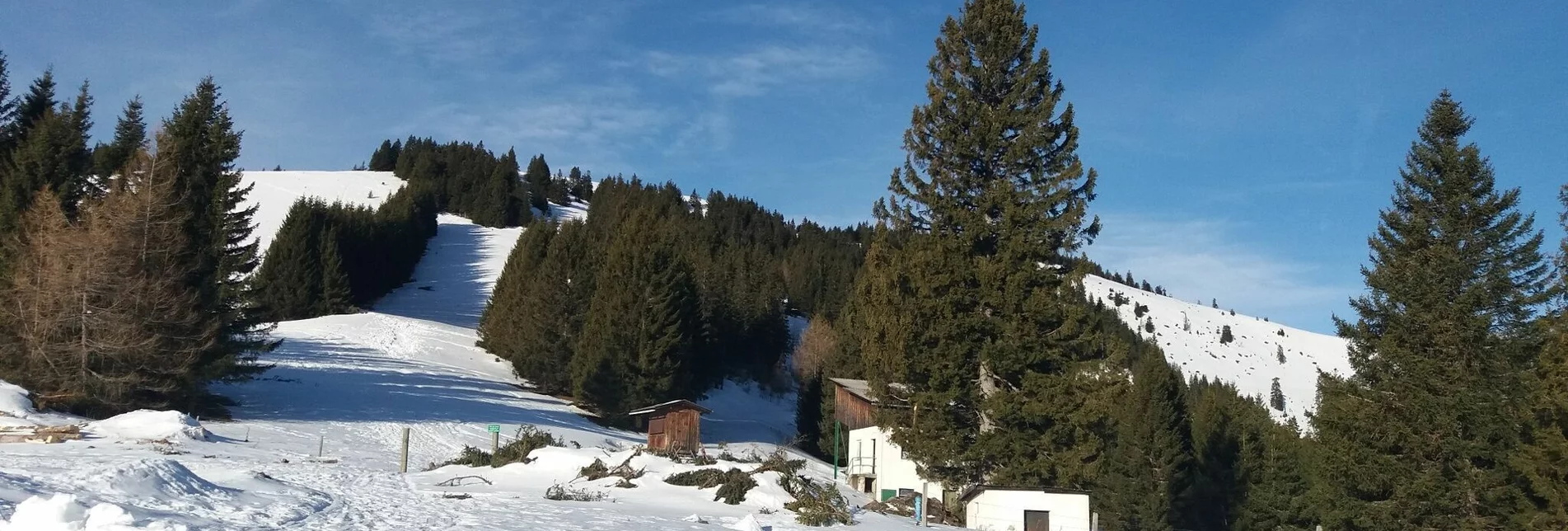 Snowshoe walking Unberührte Gaberl-Runde - Touren-Impression #1 | © Region Graz