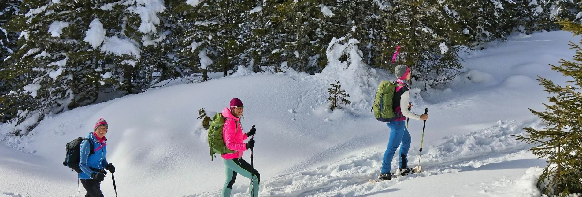 Snowshoe walking Moaralm - marked snowshoe trail in the Triebental valley - Touren-Impression #1 | © Weges OG