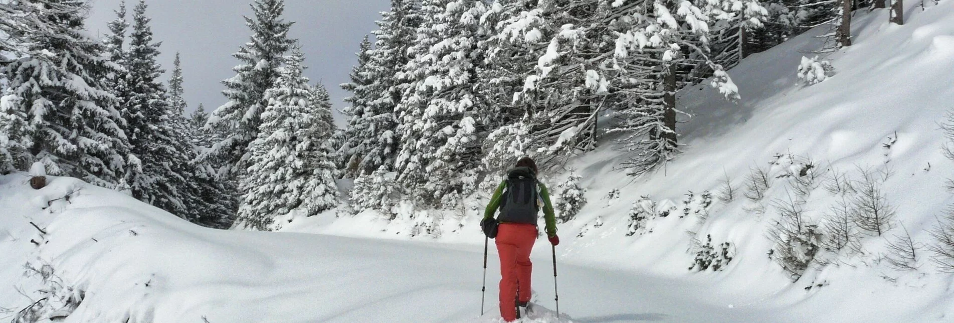 Snowshoe walking Snowshoe hike Turneralm and Hirschkreuz - Touren-Impression #1 | © Weges OG
