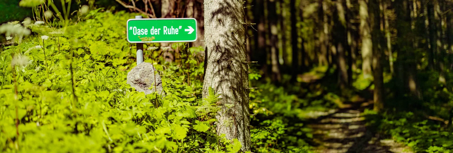 Regional hiking trail Natural monument Granitzenbach to St. Wolfgang - Touren-Impression #1 | © Erlebnisregion Murtal