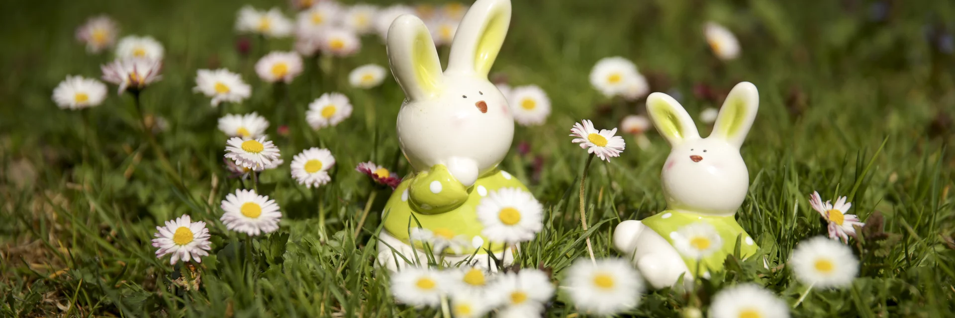 Easter bunny in spring | © Steiermark Tourismus | Bernhard Loder