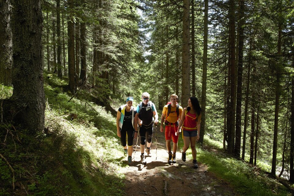 Eine Gruppe von vier Personen wandert auf einem Pfad durch einen Wald. Die Sonne scheint durch die Bäume und schafft eine angenehme Atmosphäre. | © Herbert Raffalt